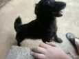 abandonados