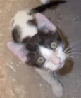 Sabidinha