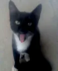pretinha neguinha r