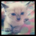 Marie