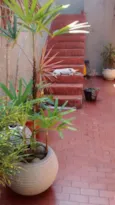 Pitoca