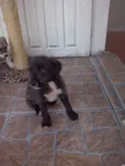 nao tem