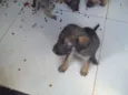 ?