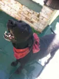 Teka
