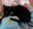 Marie