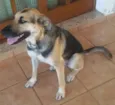 Nina
