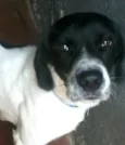 Billy 
