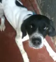 Billy 