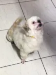 vic