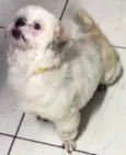 vic