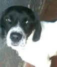 Billy 