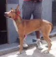 Mix
