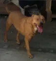 Milly
