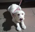 Bella