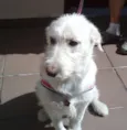 Bella