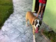BERNARDINHO