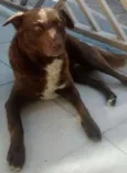 Bono