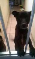 Billy 