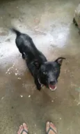 Billy
