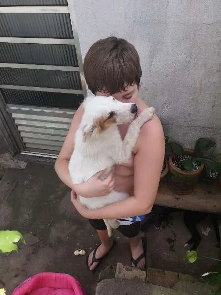 Cachorro ra a SRD idade 2 a 6 meses nome Floquinho