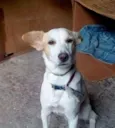 Luke