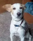 Luke