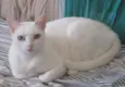 Milka