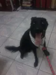 Titan