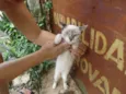 meninos e meninas