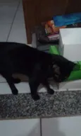 Salem