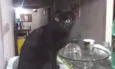 Salem