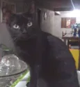 Salem