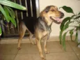 Lila