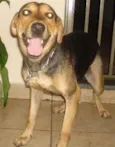 Lila