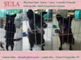 Sula