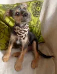 Rico