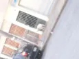 Precisa de Dono