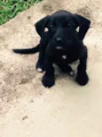 Austin