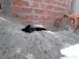 desconhecido