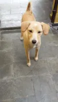 Princesa