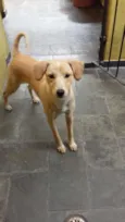 Princesa