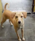 Princesa