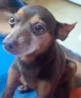 choquito