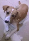 Lily
