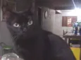 Salem