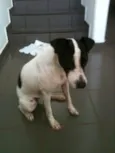 Menina