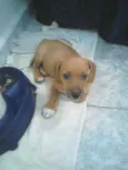 Marley