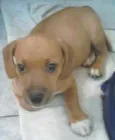 Marley