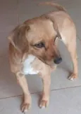 CHITARA,E PRETO