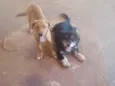 Batman e Robin